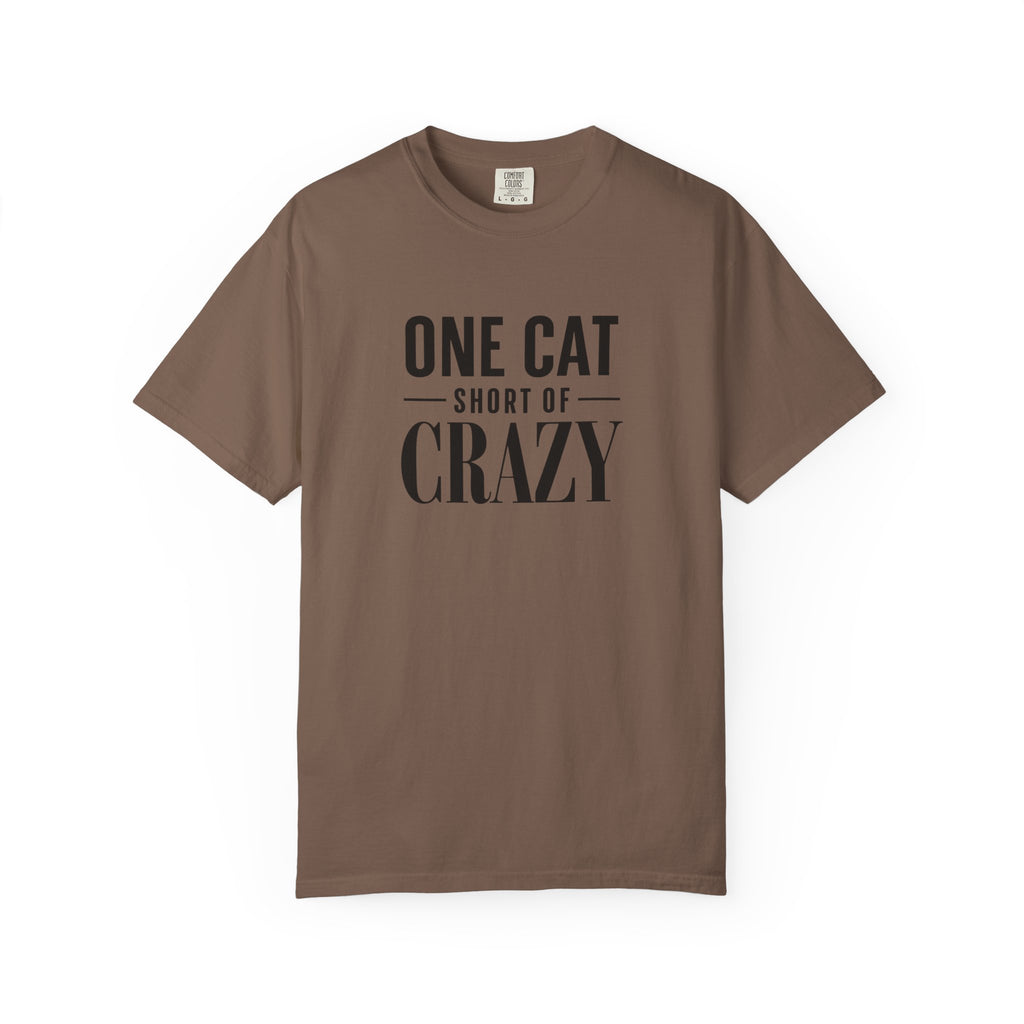 One Cat Short of Crazy T-Shirt
