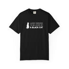 Lucky Enough to Be Loved by a Black Cat T-Shirt