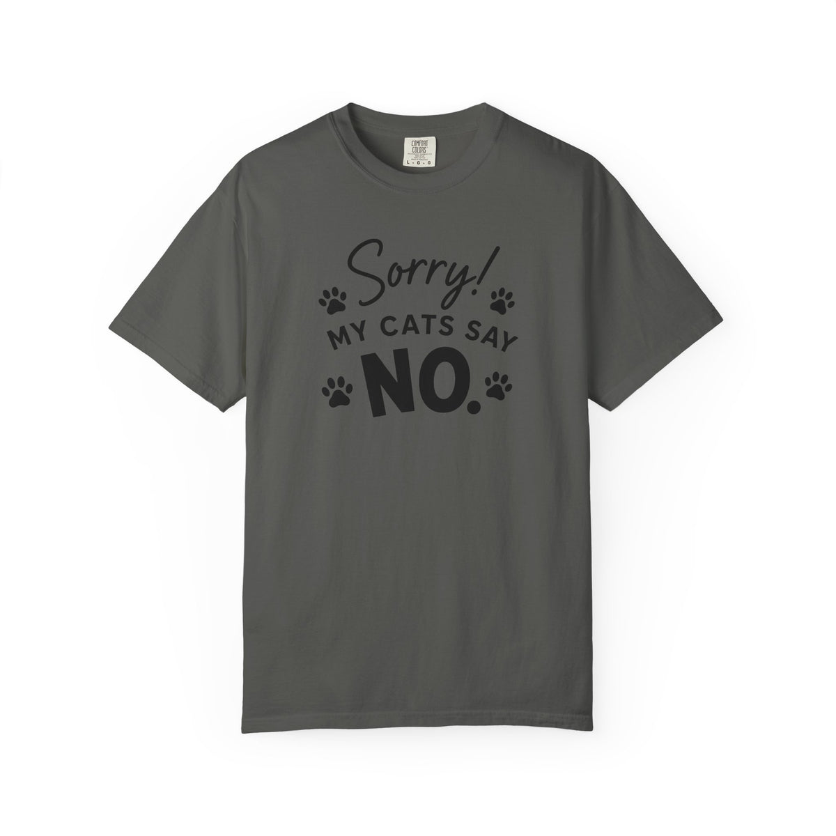 Gray t-shirt with 'River Styx Heathens' text on a white background