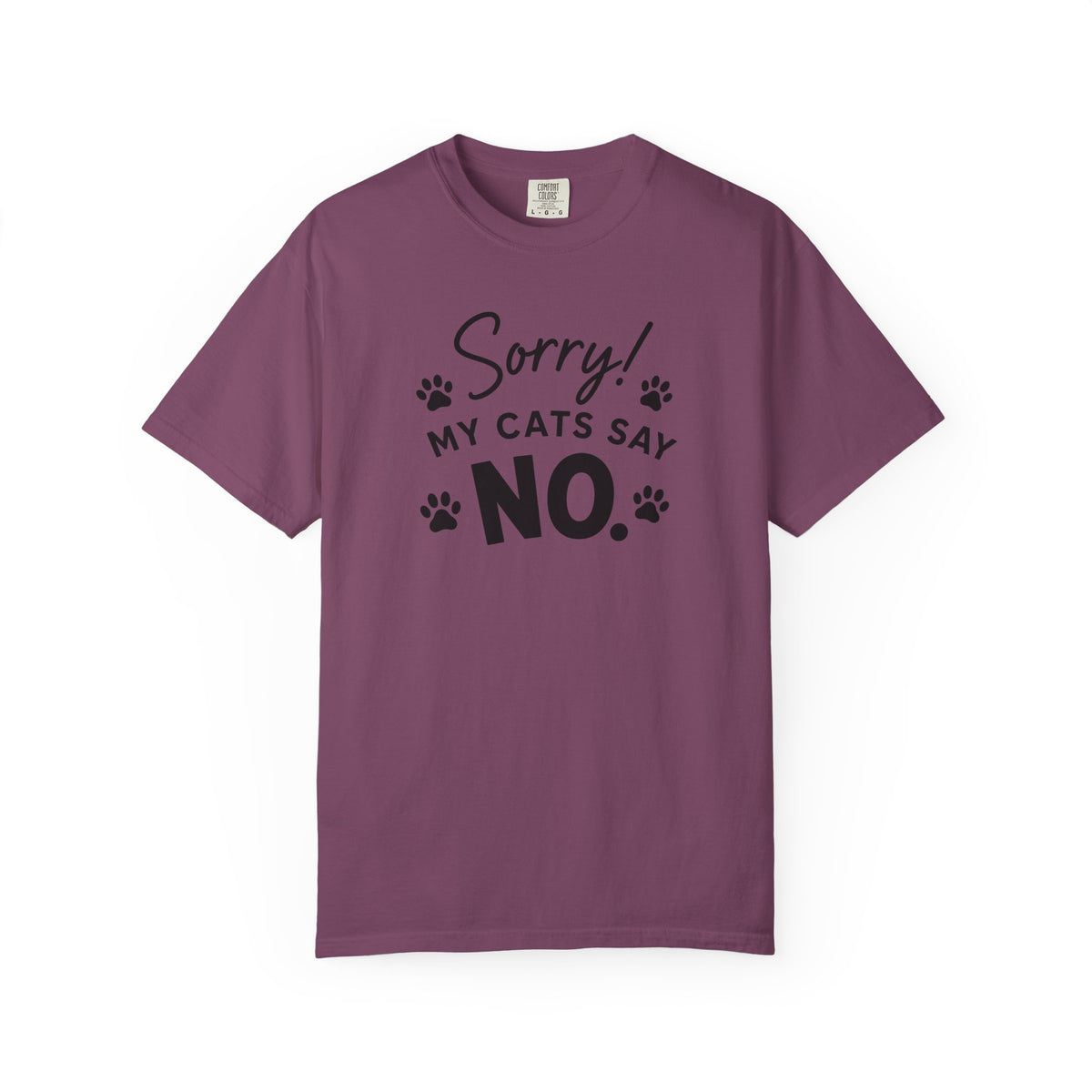 Maroon t-shirt with 'Future Equestrian' graphic on a white background
